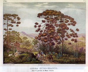 Serra Ouro-Branco da Johann Moritz Rugendas
